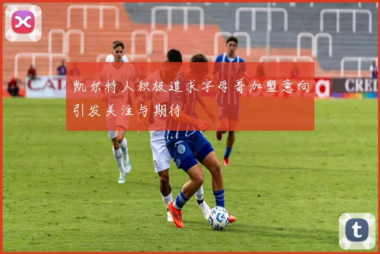 凯尔特人积极追求字母哥加盟意向引发关注与期待