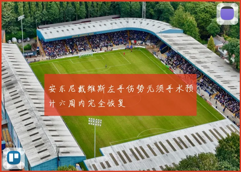 安东尼戴维斯左手伤势无须手术预计六周内完全恢复