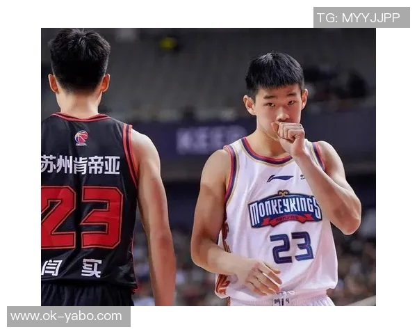 媒体人澄清未指责林葳试训NBL不合格只是提出建议希望他去尝试